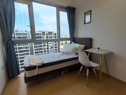 Ecopolitan (D19), Condominium #495904911